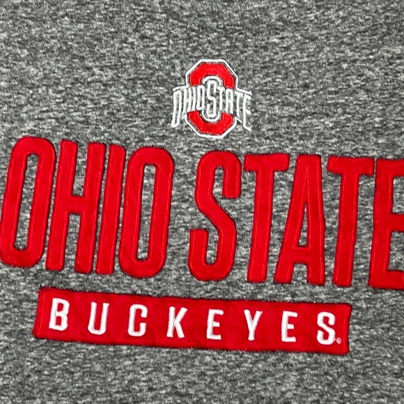 Ohio State Buckeyes OSU Champion Gray Crewneck Mens NCAA Sports Tshirt - Picture 3 of 6